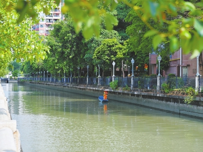 向“绿”而行！中山石岐街道全链条治水，15条河涌焕新颜