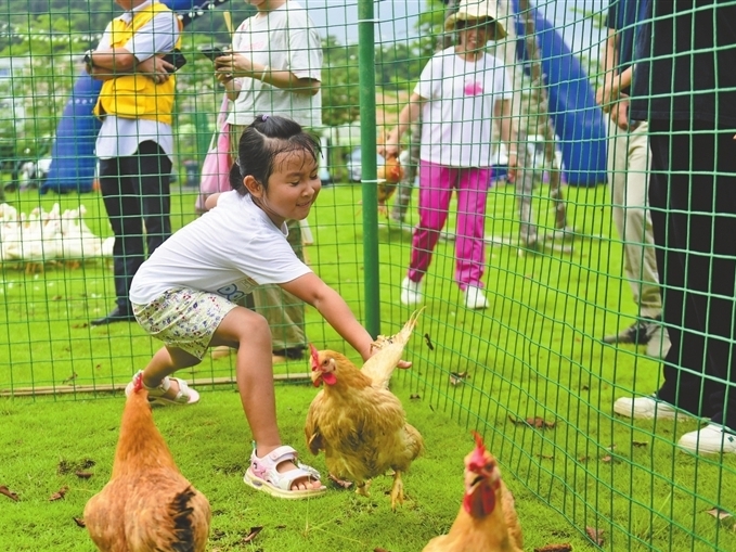 玩转夏日乡野派对、打卡生态研学路线……中山开展全国生态日主题活动