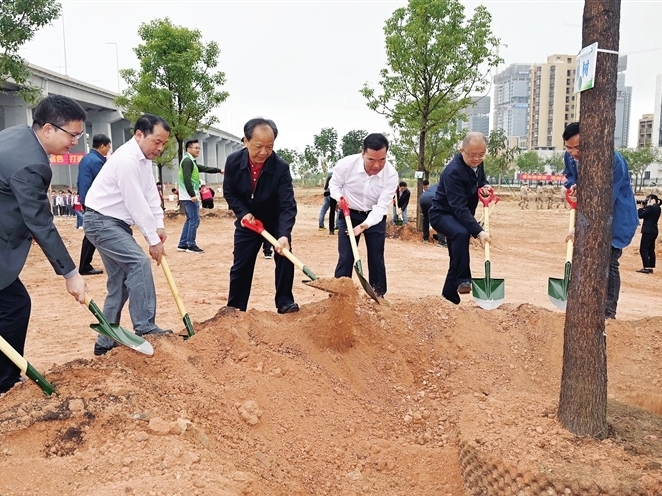 全市总动员推进绿美中山生态建设 以更高标准提升城市绿化美化水平