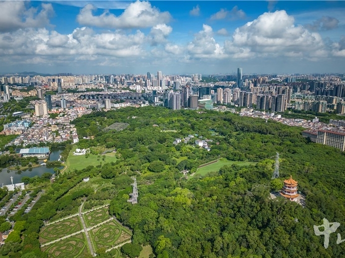 市委常委会召开会议，部署推进深中营商环境一体化、绿美中山等工作