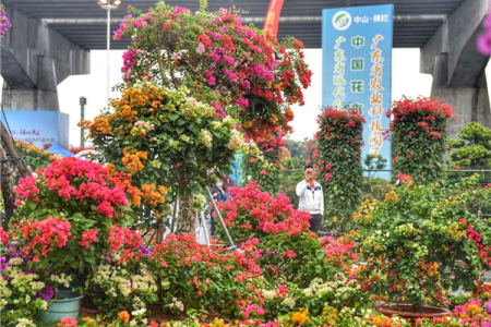 免门票、免预约！2022中国（中山）花木产业大会将有这些亮点
