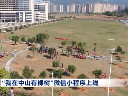 视频新闻 | “我在中山有棵树”微信小程序上线