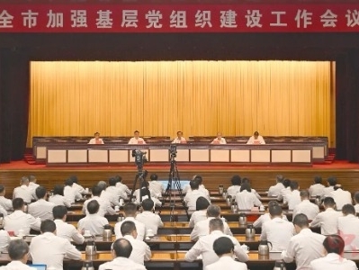 中山：以高水平基层党建推动高质量发展焕发新气象