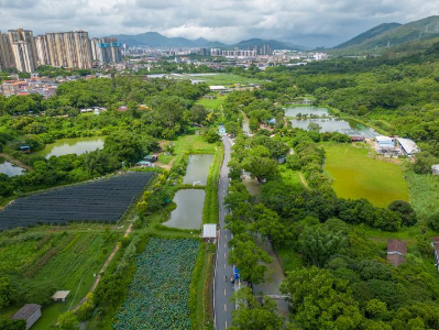 郭文海：倡导群众“自己家园自己建自己管自己美”，高质量推进农房风貌