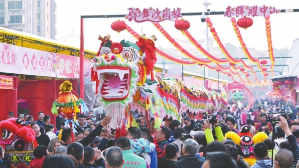邂逅“花样”年味！2025年沙岗墟迎春花市开市
