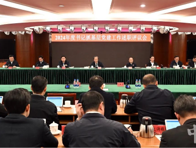 中山：坚定不移抓基层打基础 党建引领发动群众投身“百千万工程”