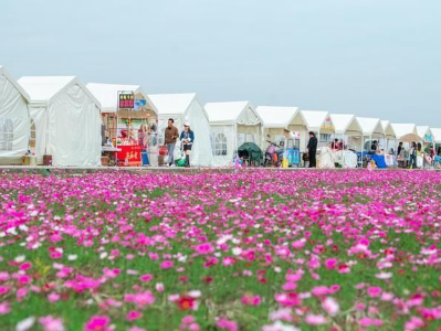 2024中山民生答卷⑧｜人居环境“细梳妆”，城乡蝶变焕新颜