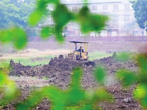 中山农业合作社抱团种粮更显“科技范”
