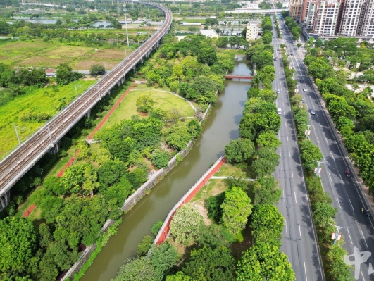 绘就绿美画卷！中山开启美丽河湖保护与建设新征程
