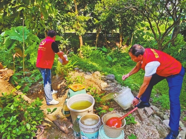 空中地面，线上线下 中山各镇街“围剿”蚊虫