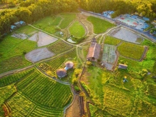 郭文海尹念红到五桂山街道调研“百千万工程”推进情况