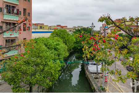 中山重磅发布排水与海绵城市建设“双条例”